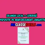 Examen Local + corrigé 3APIC Dispositif de Renforcement Linguistique A1